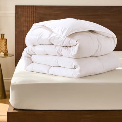 Confort suprême hiver