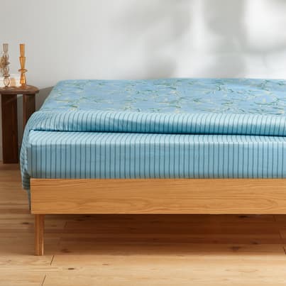 Sérénade à Luneville