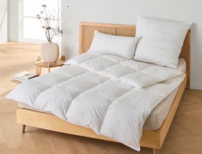 Ganzjahres Daunendecke Premium Extra