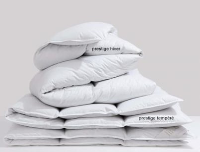 Prestige hiver canard blanc