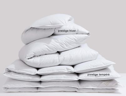 Prestige hiver canard blanc