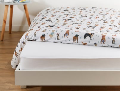 Chiens et chat
