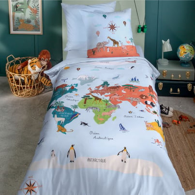 Mappemonde