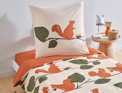 Casse noisette
