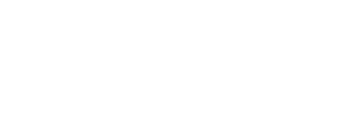 VENTE PRIVEE