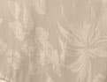 Prieuré Beige