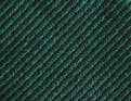 Byzance Vert cèdre