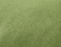 Farbtupfer Moosgrün