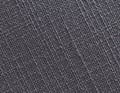 Petit safari Gris