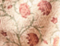Alenia Litschi