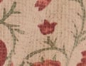 Palette gourmande Litchi