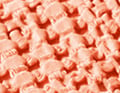 Couleurs vitaminées Mandarine