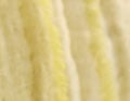 Les Papyrus Paille