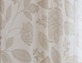 En transparence Beige