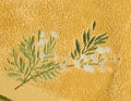 Éclat de Mimosa Brodé