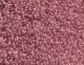 Matinale Framboise glacée