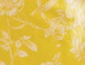 Saveurs de Braga Jaune