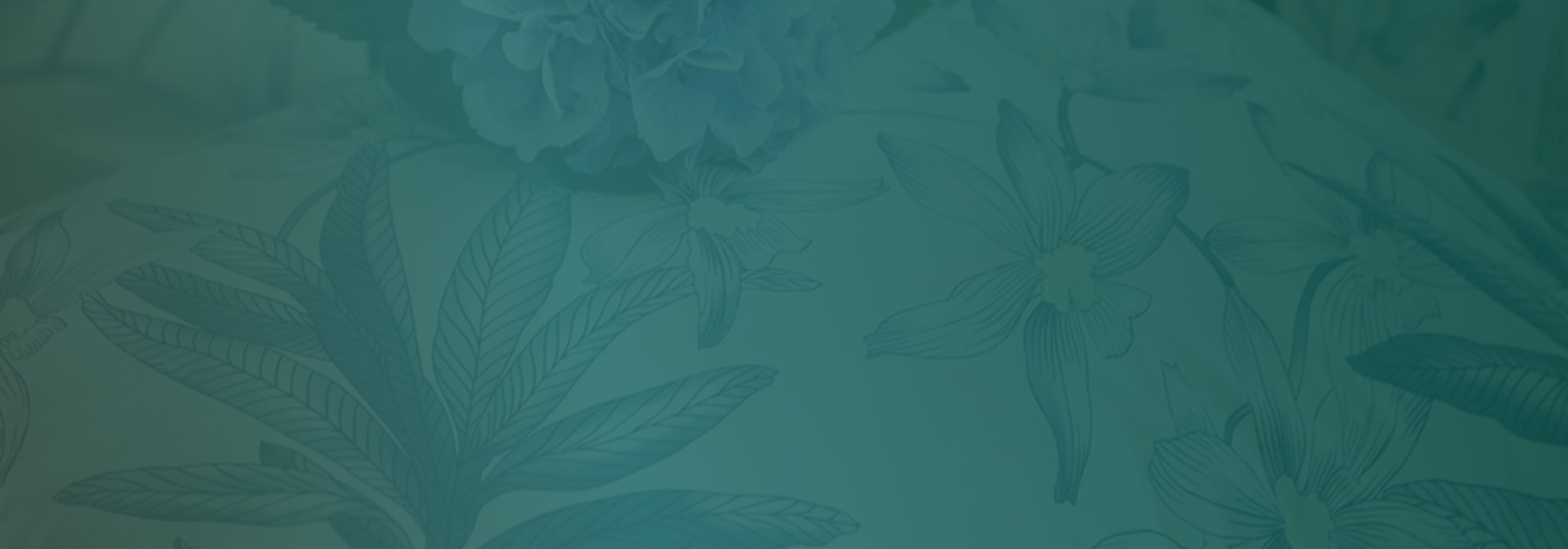 LES SOLDES  JUSQU'À -60%