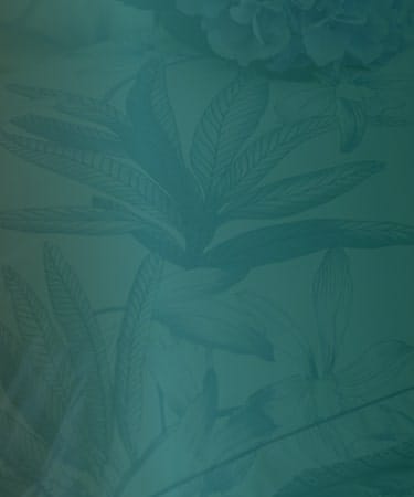 LES SOLDES TOUT À -60%