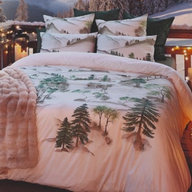 Célébrez les fêtes au sommet ! 