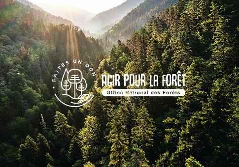agir pour la forêt
