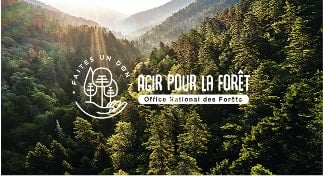 agir pour la forêt