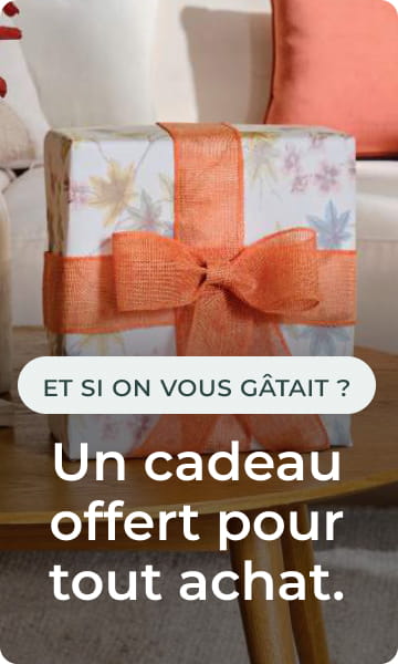 Cadeau surprise