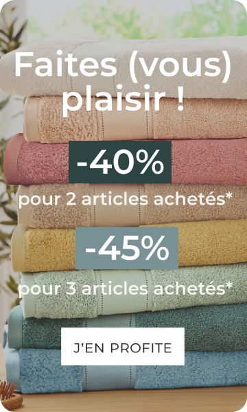 Mixité