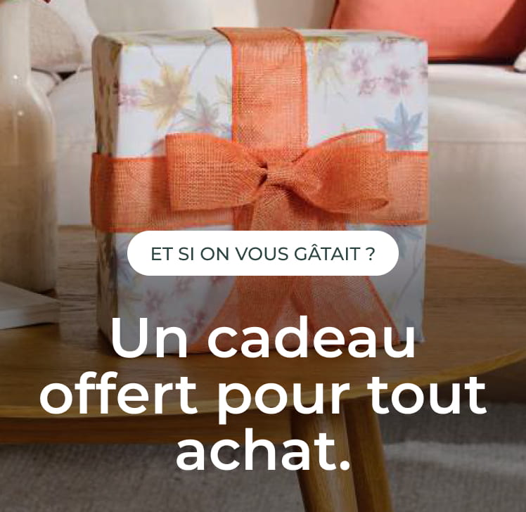 Cadeau surprise