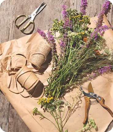 Rencontres créatives : Agathe Charlot