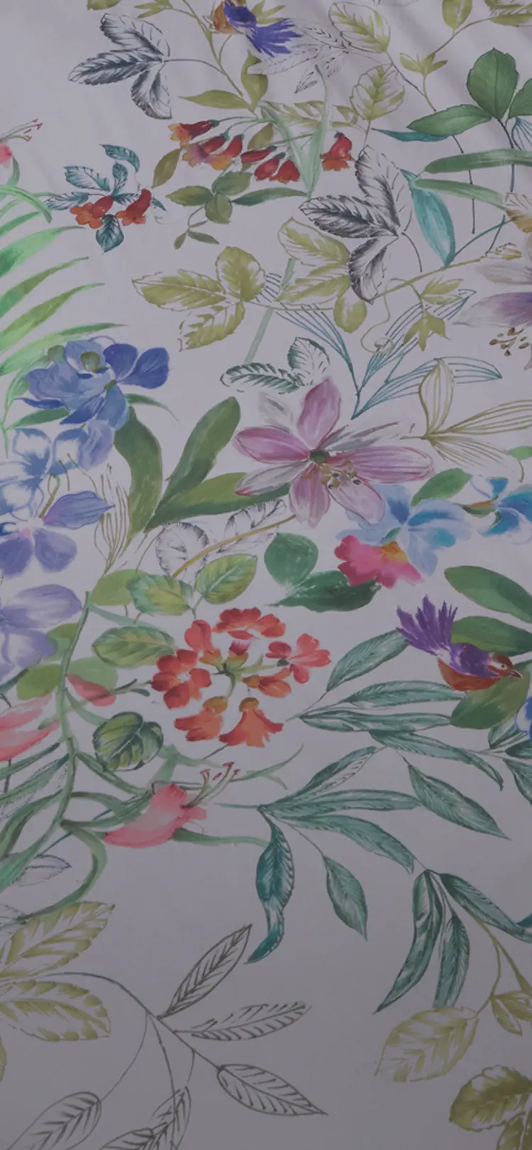 Rencontres créatives : Agathe Charlot