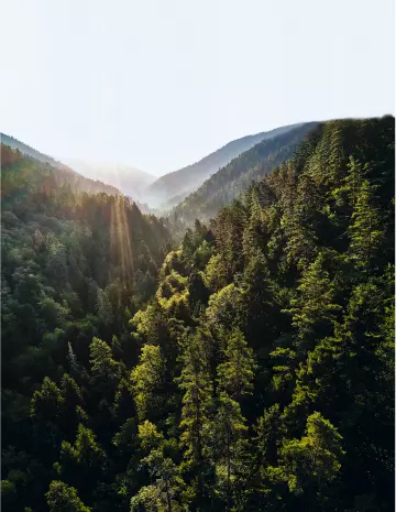 ANCRAGE DANS LES VOSGES