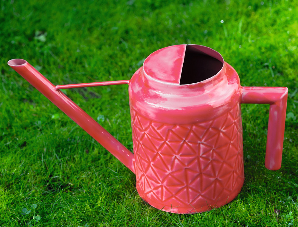 /fr/la-deco/plein-air/decoration-exterieure/arrosoir-a-vos-plantes/