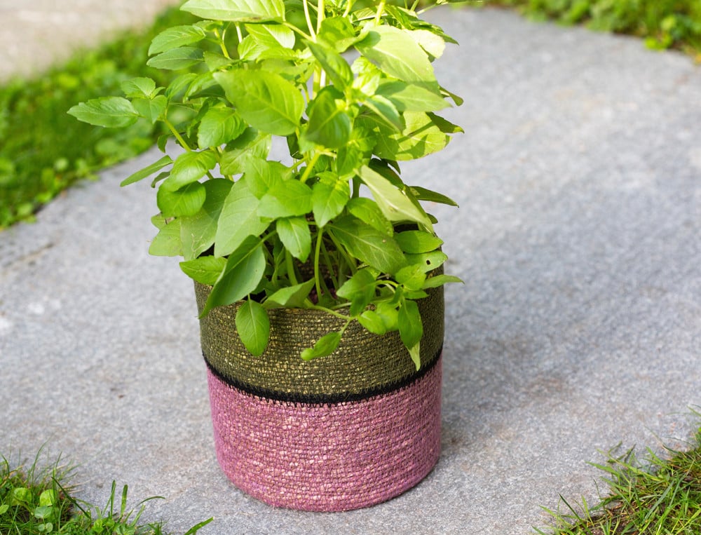 /fr/la-deco/accessoires/cache-pot-berlingots/