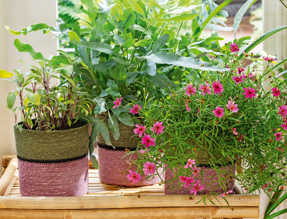 /fr/la-deco/accessoires/cache-pot-berlingots/