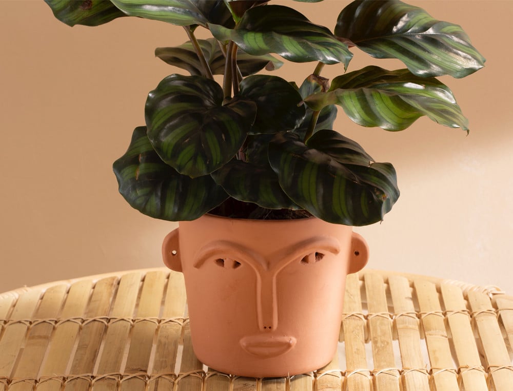 /fr/la-deco/accessoires/cache-pot-visage-au-naturel/