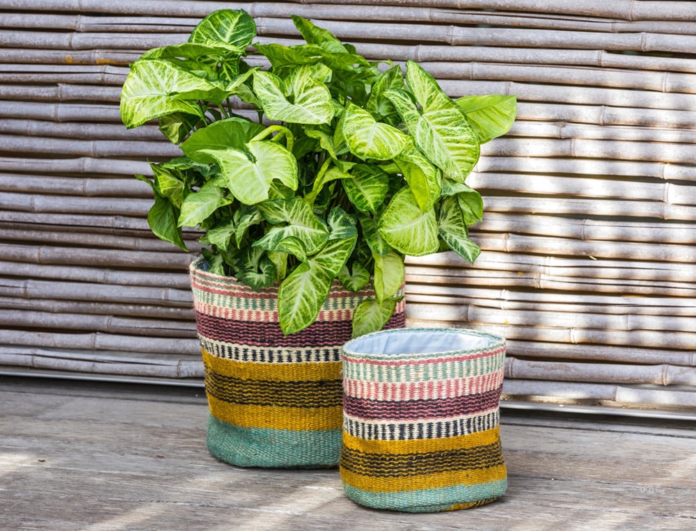 /fr/la-deco/accessoires/cache-pots-matcha/