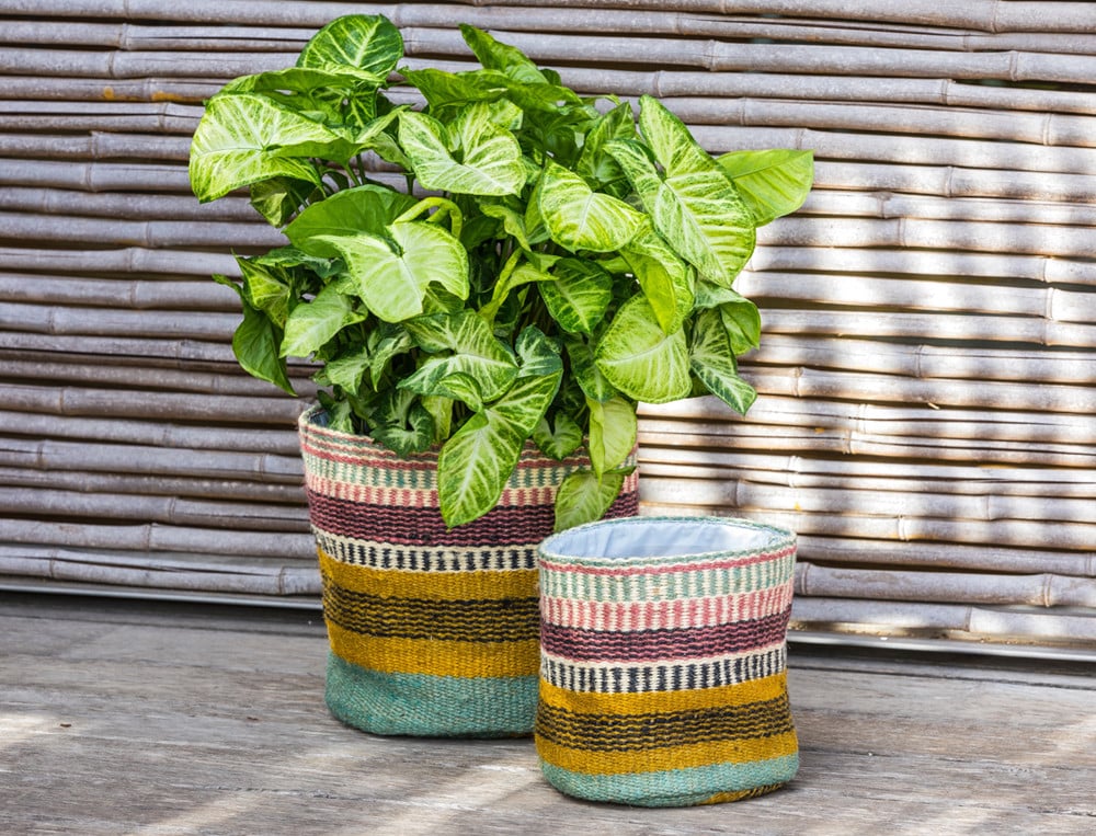 Lot de 2 cache-pots Matcha