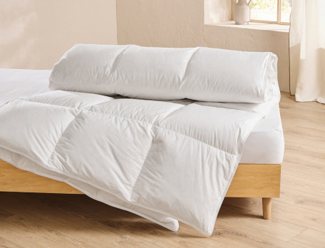 Couette tempérée Prestige tempéré anti-acariens