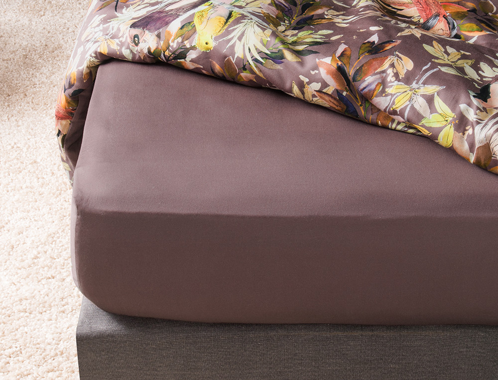 /fr/la-chambre/linge-de-lit/drap-housse/drap-housse-amazonie-all/