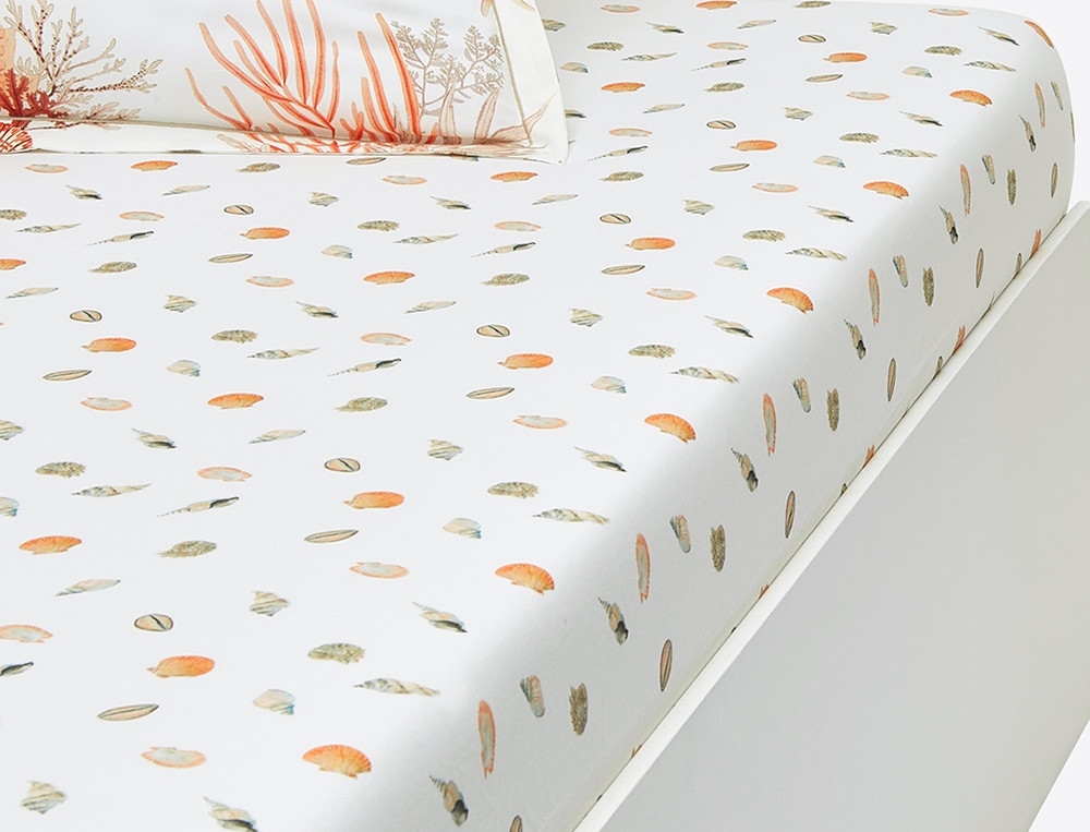 Drap housse percale imprimé bonnet 35 cm Coquillages