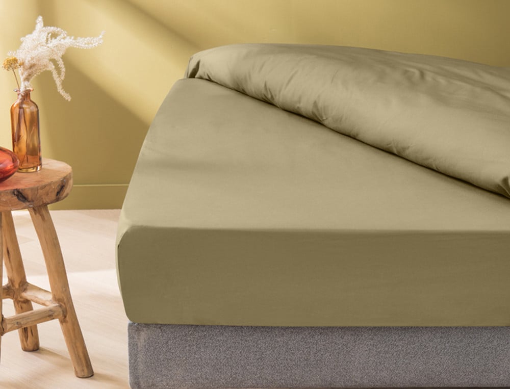 TODAY Essential - Drap Housse 160X200 cm 2 Personnes 100% Coton Uni,  Celadon : : Cuisine et Maison