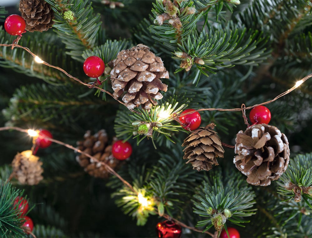 /fr/la-deco/noel/guirlande-pole-nord/