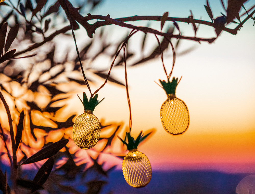 LED-Lichterkette für draußen mit 20 Ananas-Lämpchen Sonnenanbeter