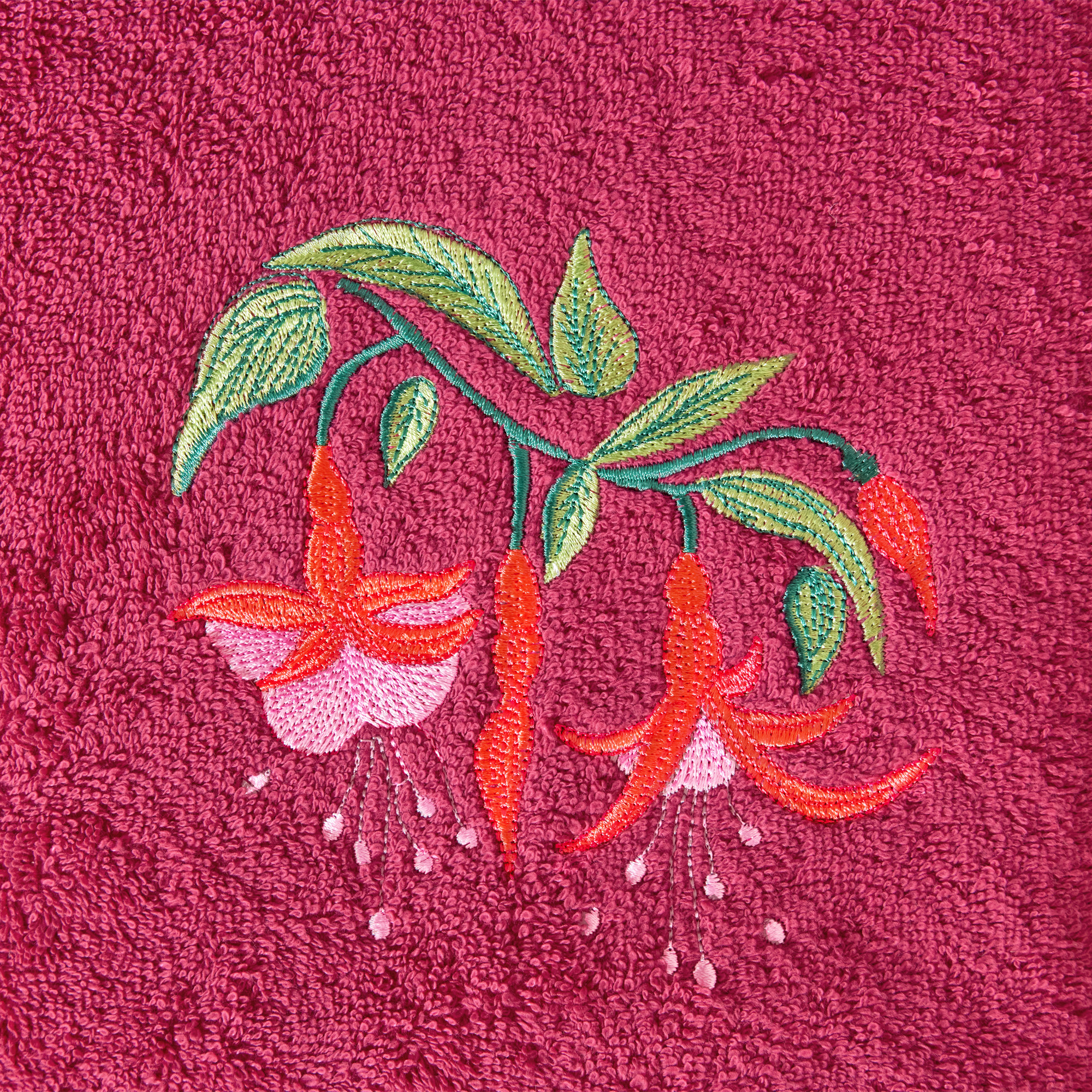 Les fuchsias