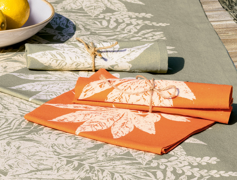 2 serviettes de table  imprimées dans un angle Déjeuner champêtre