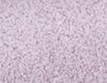 Magnolien violett