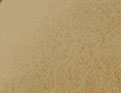 Lyocell bronze