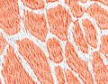 Pastellfarben orange