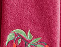 Les fuchsias fuchsia